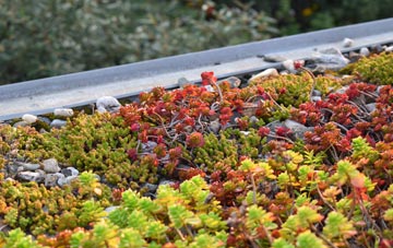 the cost of Haddenham End Field green roof installation