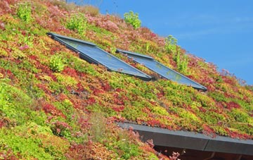 Haddenham End Field living roof systems