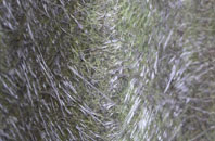 Haddenham End Field fibreglass roof work